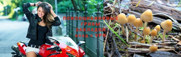 скорость Аркадак