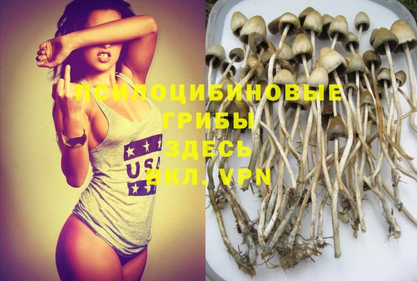марки nbome Сосновый Бор