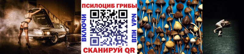 Галлюциногенные грибы Magic Shrooms  магазин продажи наркотиков  Осинники 